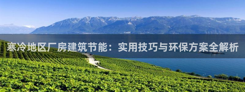 e尊国际是干什么的：寒冷地区厂房建筑节能：实用技巧与环保方案全解析