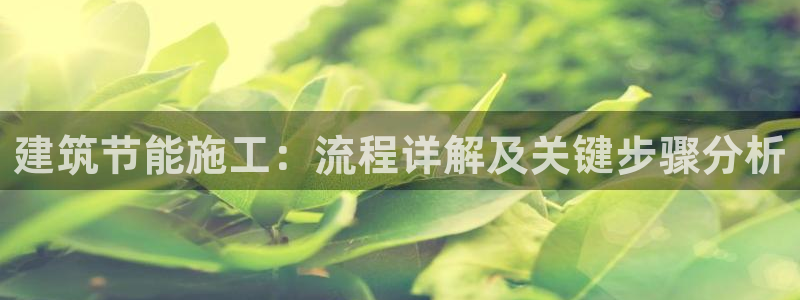 e尊国际的手机登录网站：建筑节能施工：流程详解及关键步骤分析