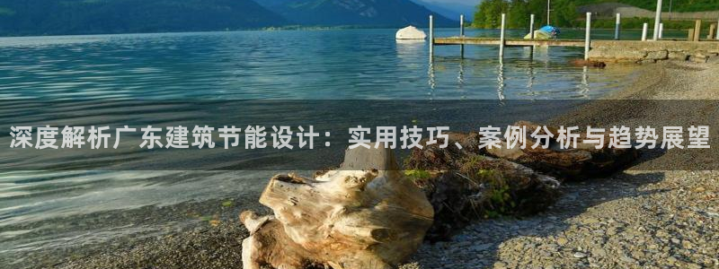 E尊国际：深度解析广东建筑节能设计：实用技巧、案例分析与趋势展望