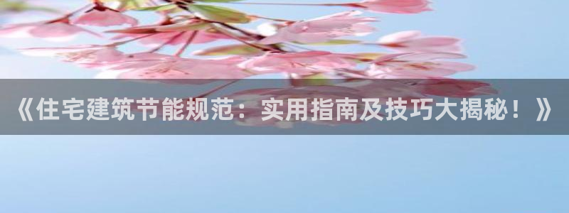 e尊国际官方网站：《住宅建筑节能规范：实用指南及技巧大揭秘！》