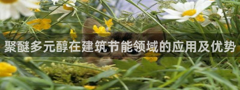 E尊国际网站