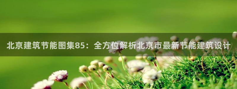 E尊国际：北京建筑节能图集85：全方位解析北京市最新节能建筑设计