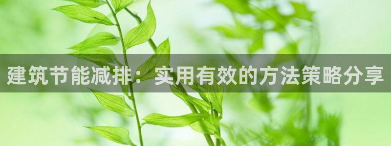 谁知道e尊国际的网址：建筑节能减排：实用有效的方法策略分享