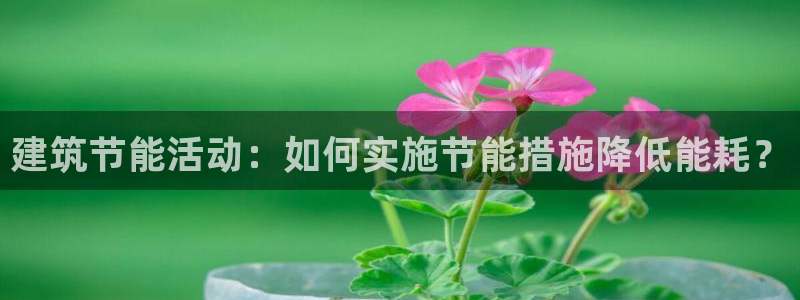 e尊国际地址：建筑节能活动：如何实施节能措施降低能耗？