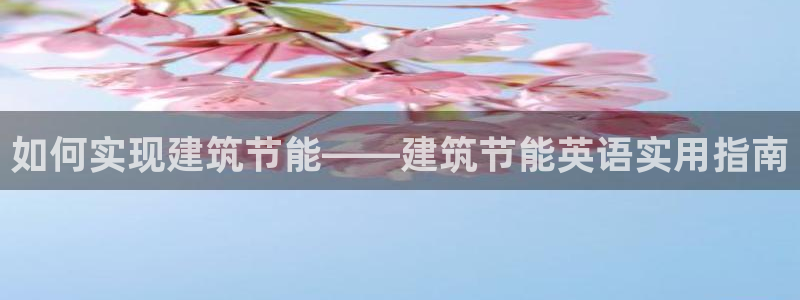 e尊国际平台：如何实现建筑节能——建筑节能英语实用指南