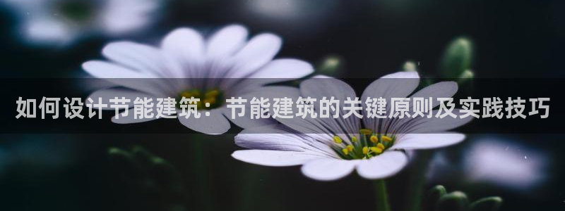e尊国际官网·网址