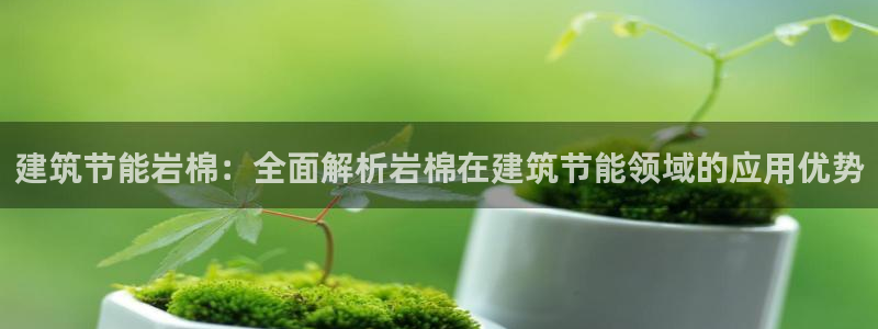 e尊国际的手机登录网站：建筑节能岩棉：全面解析岩棉在建筑节能领域的应用优势