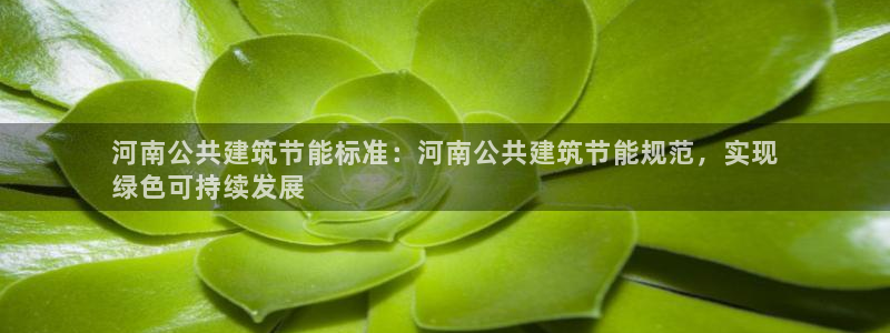 e尊国际的手机登录网站：河南公共建筑节能标准：河南公共建筑节能规范，实现
绿色可持续发展