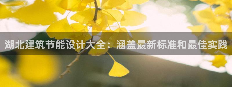 e尊国际-e尊国际官网：湖北建筑节能设计大全：涵盖最新标准和最佳实践
