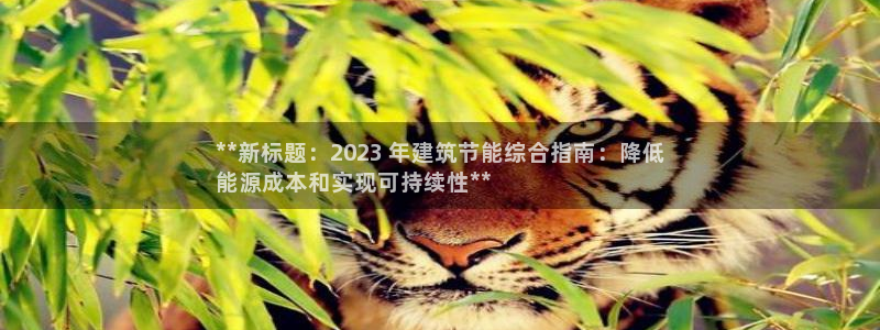 e尊国际娱乐官网下载：**新标题：2023 年建筑节能综合指南：降低
能源成本和实现可持续性**