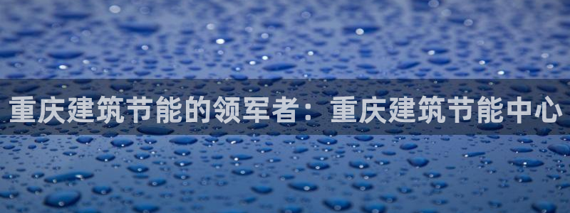 e尊国际客户端：重庆建筑节能的领军者：重庆建筑节能中心