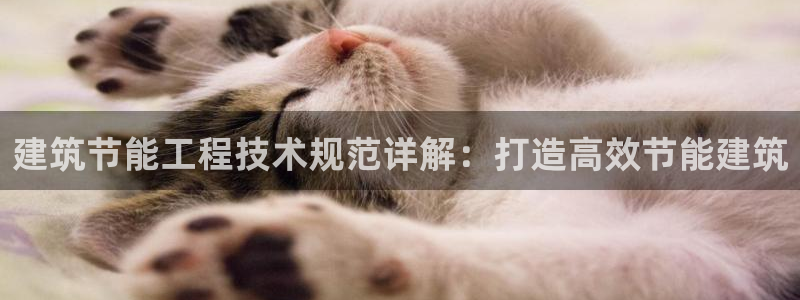 尊亿娱乐国际官网