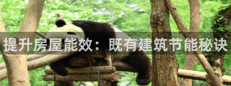 e尊平台：提升房屋能效：既有建筑节能秘诀
