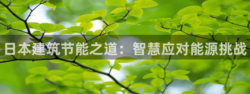 e尊国际是个黑网：日本建筑节能之道：智慧应对能源挑战