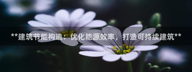 e尊国际客户端下载：**建筑节能构造：优化能源效率，打造可持续建筑**