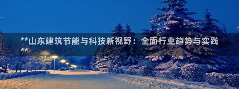 e尊国际客户端下载：**山东建筑节能与科技新视野：全面行业趋势与实践
**