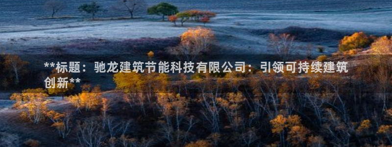 e尊国际娱乐官网地址：**标题：驰龙建筑节能科技有限公司：引领可持续建筑
创新**