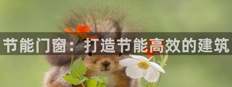 e尊国际客户端：节能门窗：打造节能高效的建筑