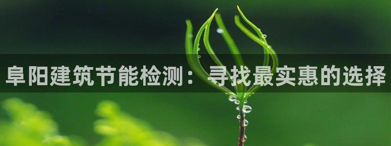e尊国际app：阜阳建筑节能检测：寻找最实惠的选择