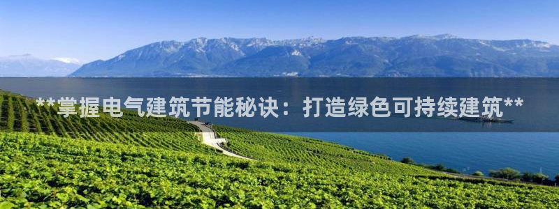 e尊国际客户端下载：**掌握电气建筑节能秘诀：打造绿色可持续建筑**