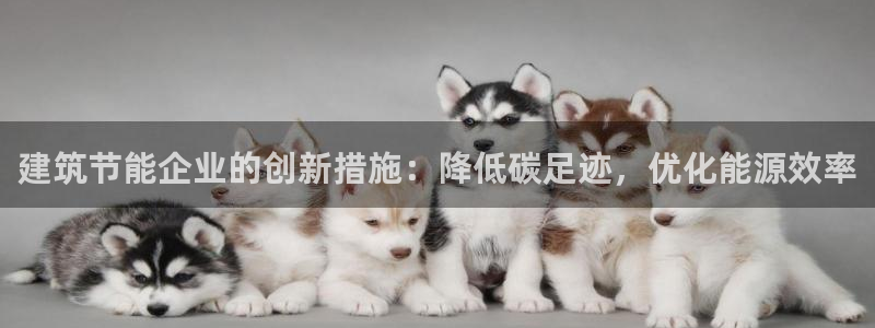 e尊体育：建筑节能企业的创新措施：降低碳足迹，优化能源效率