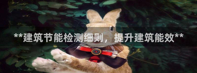 e尊国际的手机登录网站：**建筑节能检测细则，提升建筑能效**