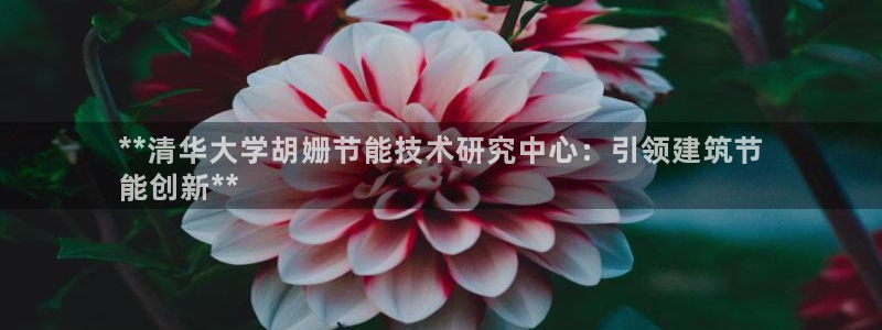 e尊国际7779：**清华大学胡姗节能技术研究中心：引领建筑节
能创新**