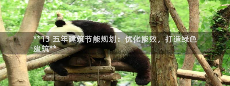 e尊国际地址：**13 五年建筑节能规划：优化能效，打造绿色
建筑**