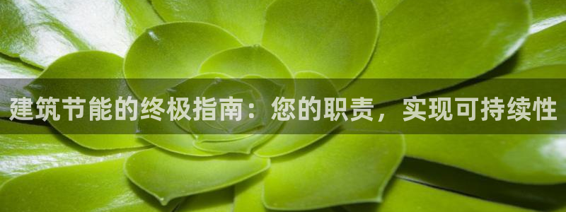 e尊国际娱乐官网下载：建筑节能的终极指南：您的职责，实现可持续性