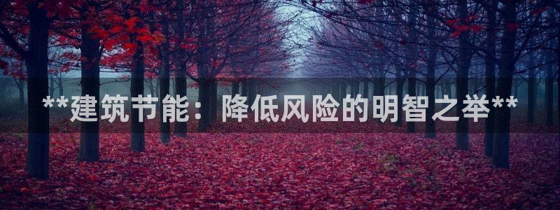 e尊国际是干什么的：**建筑节能：降低风险的明智之举**