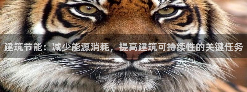 e尊国际客服：建筑节能：减少能源消耗，提高建筑可持续性的关键任务