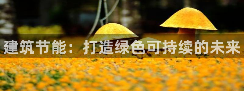 e尊国际的手机登录网站：建筑节能：打造绿色可持续的未来