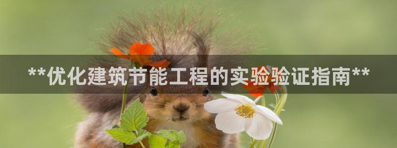 e尊国际7779：**优化建筑节能工程的实验验证指南**
