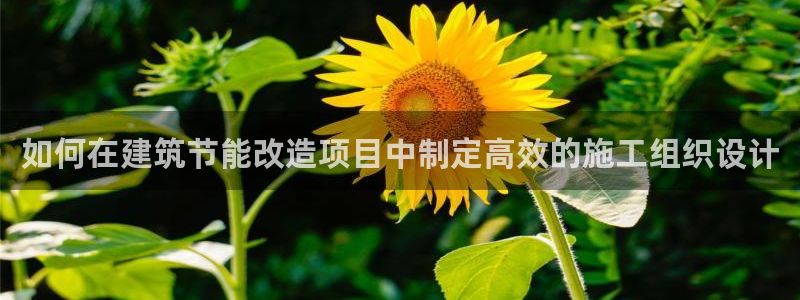 e尊国际客户端下载：如何在建筑节能改造项目中制定高效的施工组织设计