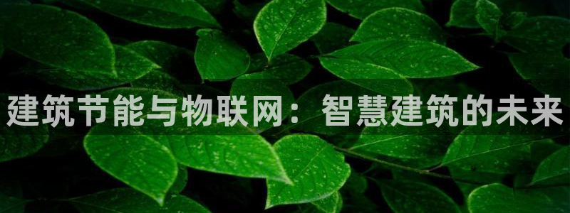 e尊国际网址：建筑节能与物联网：智慧建筑的未来