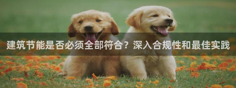 e尊国际地址：建筑节能是否必须全部符合？深入合规性和最佳实践