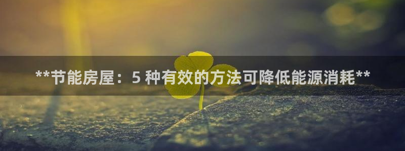 e尊国际官方网站：**节能房屋：5 种有效的方法可降低能源消耗**