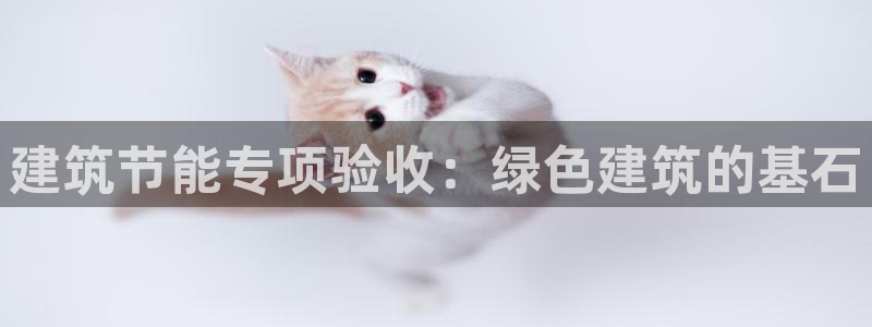 e尊国际-可可计划：建筑节能专项验收：绿色建筑的基石