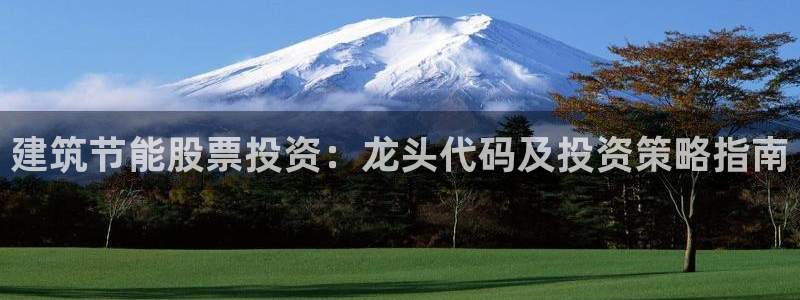 e尊国际可靠吗：建筑节能股票投资：龙头代码及投资策略指南