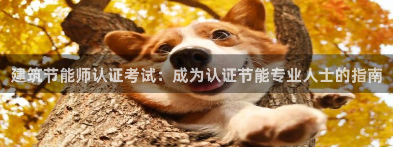 e尊国际-可可计划