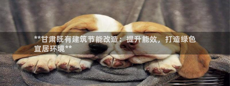 e尊国际网址