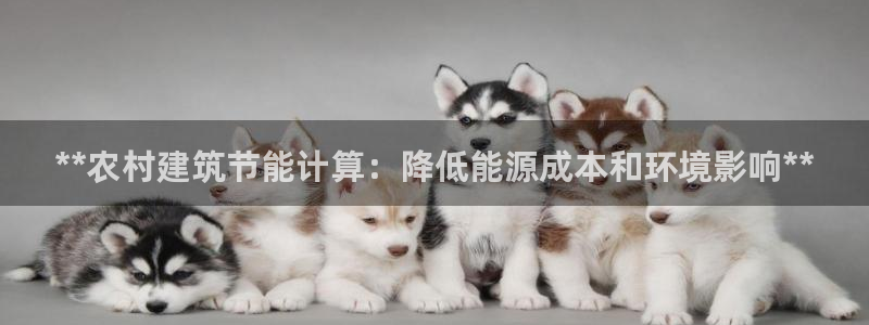 e尊国际是个黑网：**农村建筑节能计算：降低能源成本和环境影响**