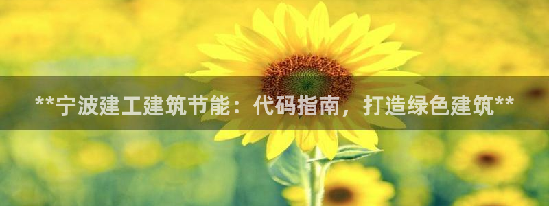 谁知道e尊国际的网址：**宁波建工建筑节能：代码指南，打造绿色建筑**
