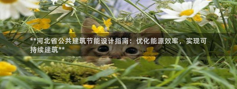 e尊国际娱乐官网地址：**河北省公共建筑节能设计指南：优化能源效率，实现可
持续建筑**