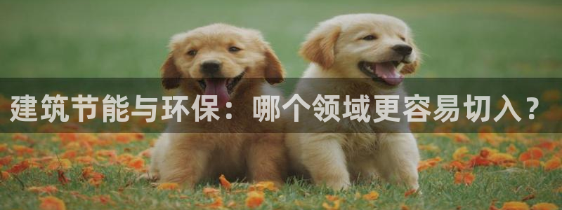 e尊国际官方网站：建筑节能与环保：哪个领域更容易切入？