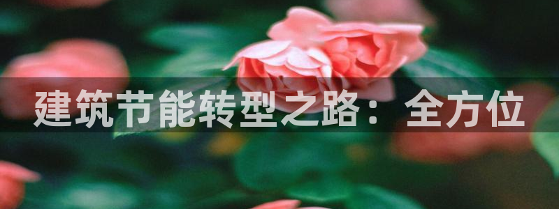 E尊国际
