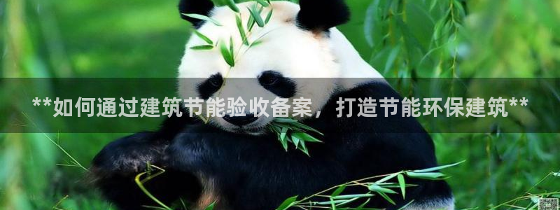 e尊电竞：**如何通过建筑节能验收备案，打造节能环保建筑**