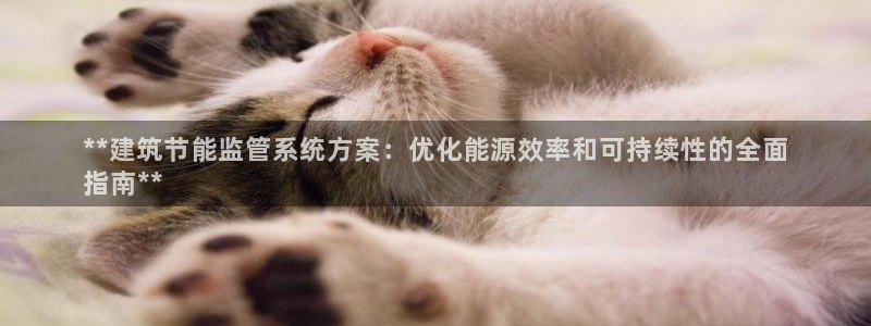 e尊官网