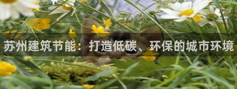 e尊官网：苏州建筑节能：打造低碳、环保的城市环境