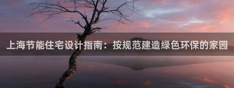 e尊国际官方网站：上海节能住宅设计指南：按规范建造绿色环保的家园